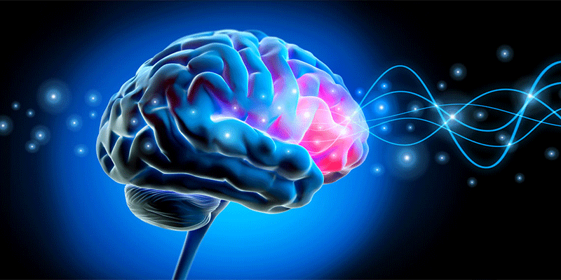 انواع تحریک الکتریکی مغز